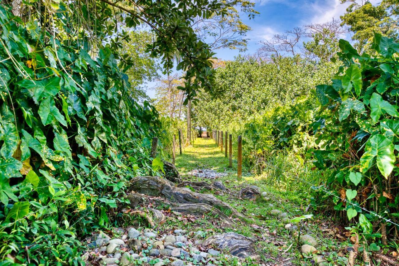 Villas Pina - Adults Only Puerto Viejo de Talamanca Экстерьер фото