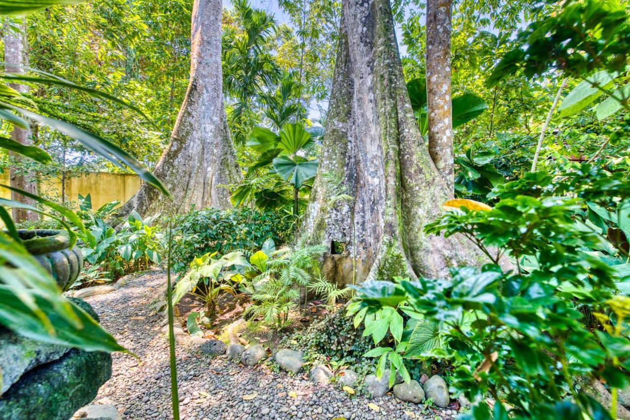 Villas Pina - Adults Only Puerto Viejo de Talamanca Экстерьер фото