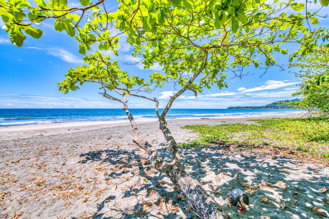 Villas Pina - Adults Only Puerto Viejo de Talamanca Экстерьер фото