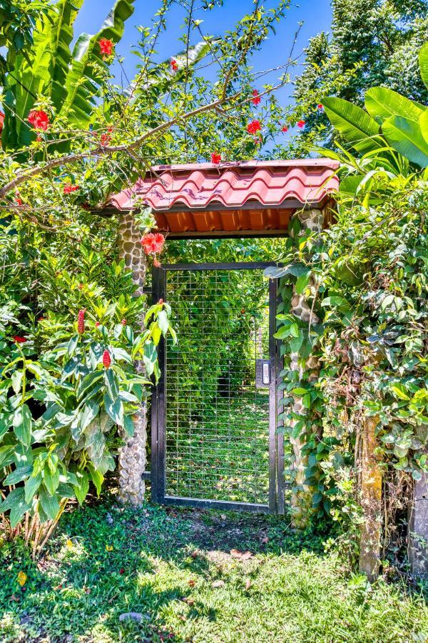 Villas Pina - Adults Only Puerto Viejo de Talamanca Экстерьер фото